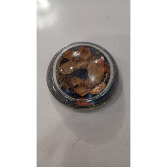 Lucite Other - Vintage Lucite Dried flower paperweight Eclectic, Boho, Hippie Earthy